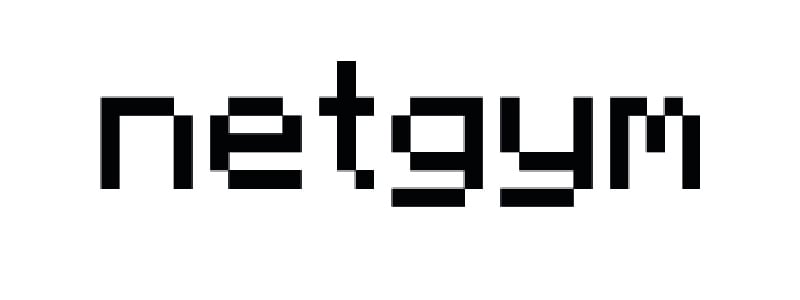 Netgym-logo copy
